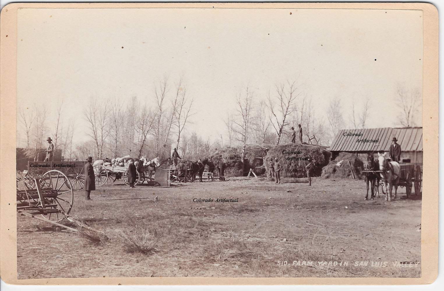 510. Farm Yard in San Luis Valley, Colorado, by R